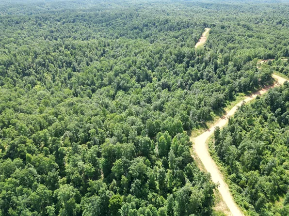 0B Black Bear Trail Rd, Linden, TN 37096