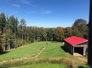 9493 Monk Hill Rd, East Otto, NY 14729