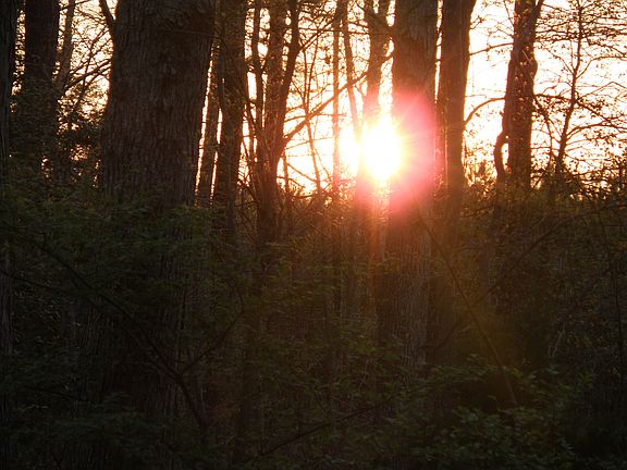 Sunrise looking out front