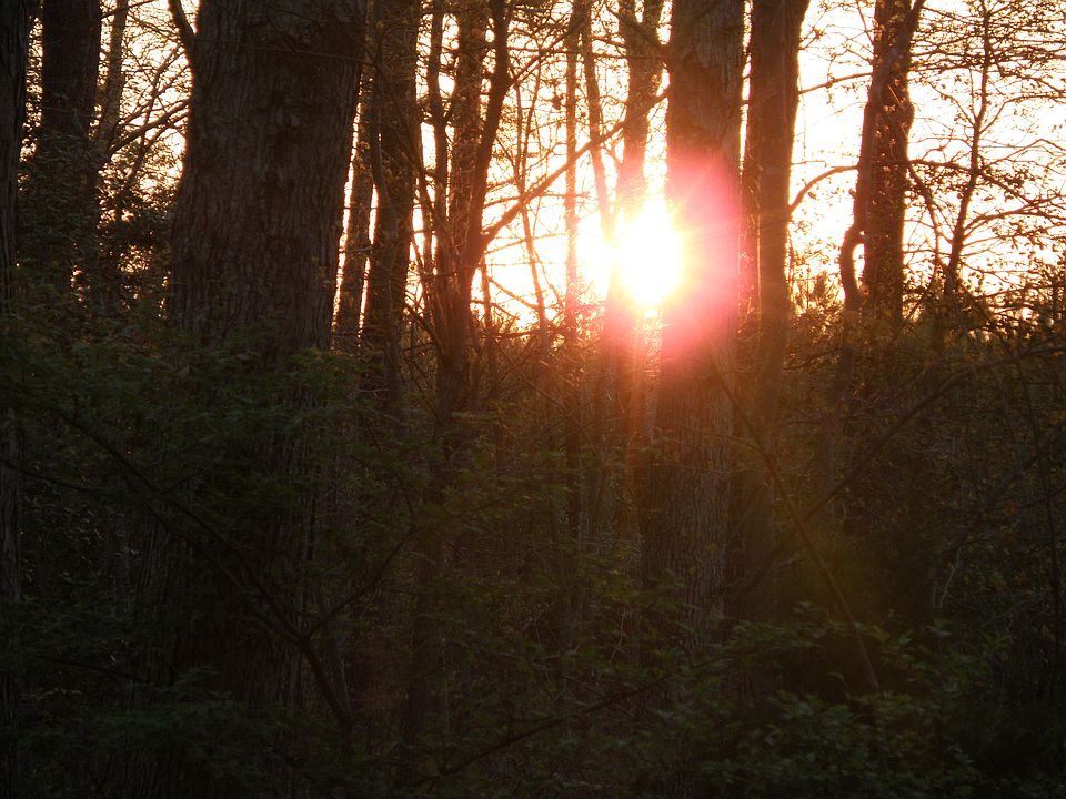 Sunrise looking out front