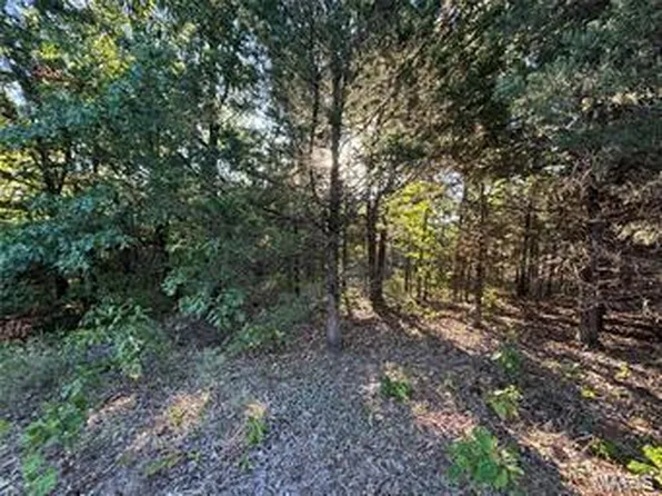 7 Appaloosa Trl, Monroe City, MO 63456