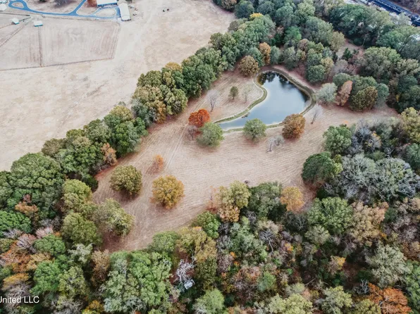 636 Livingston Vernon Rd, Flora, MS 39071