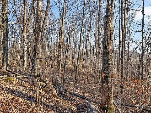 5th image of LOT 114 Faix Rd