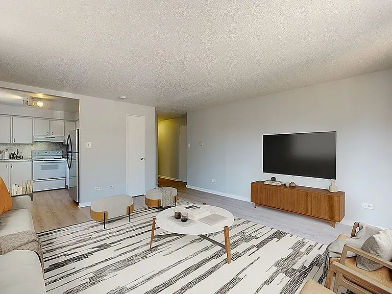 1121 N Ogden St #205 — Photo 8