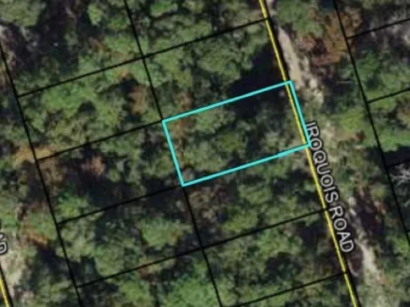 Xx Iroqouis Rd, Crawfordville, FL 32327