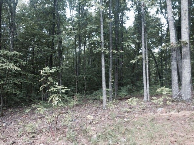 1st image of 151 Sardis Creek Dr