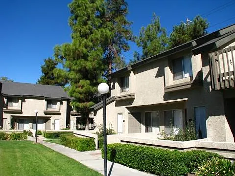 Palm Village Apartment Homes — Photo 10