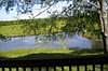 Pond view from deck
