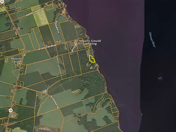 4th image of 105 Perrys Point Ln