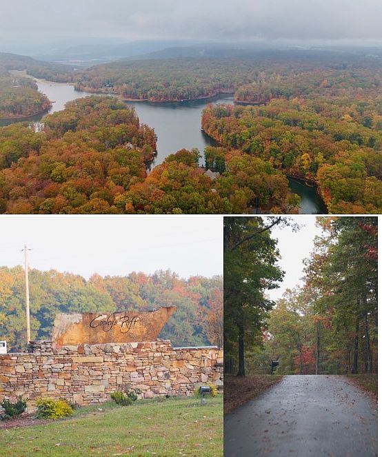 1st image of 0 Cooleys Rift Blvd Lot 156