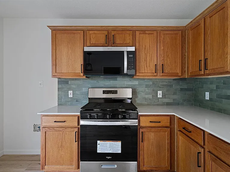 17129 Hamilton Point Cir — Photo 17
