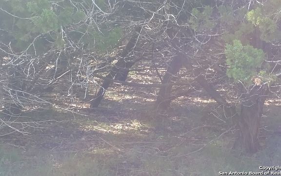 5th image of 556 Whispering Breeze Dr