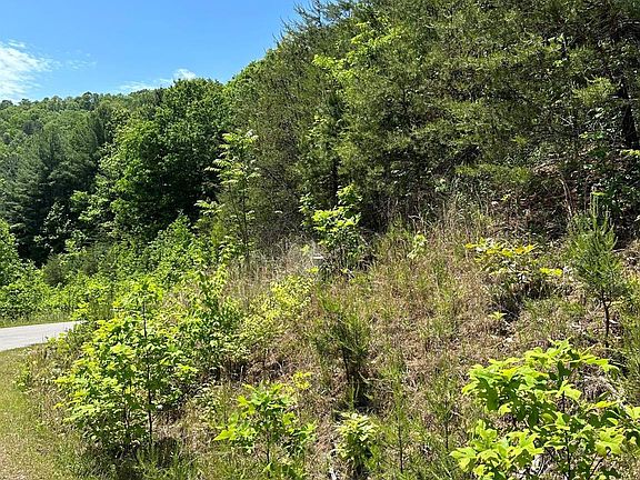 3rd image of 26 Carolina Buckthorn Dr