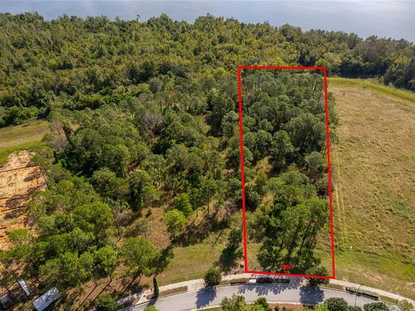 16842 Artimino Loop Lot 39, Montverde, FL 34756