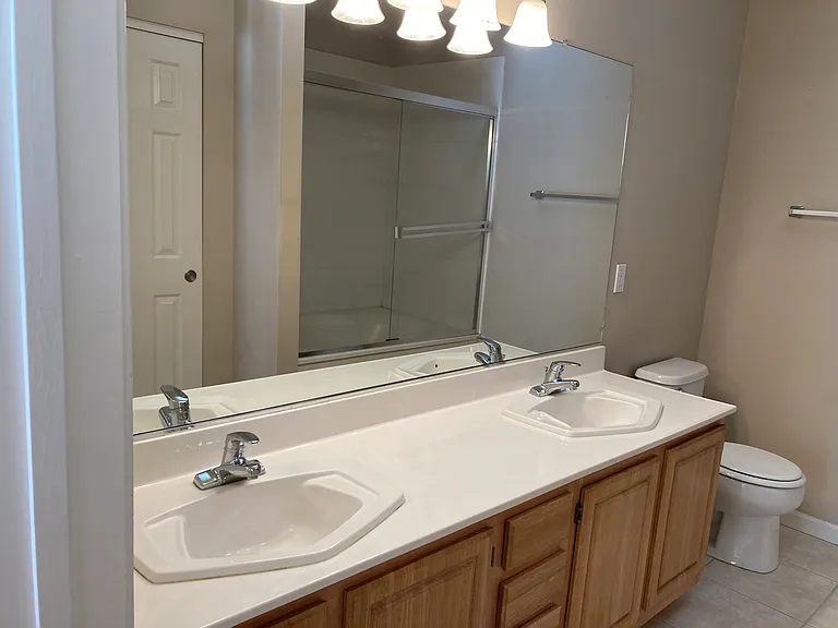 Lots of counter space in Primary Bath.