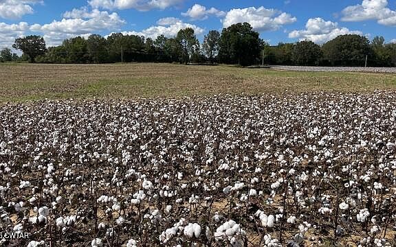 3rd image of 0 Christmasville Rd