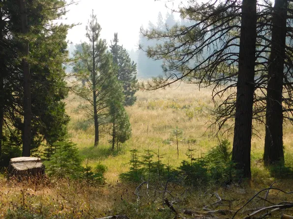 LOT 5 Lot Antone Rd #5, Shingletown, CA 96088