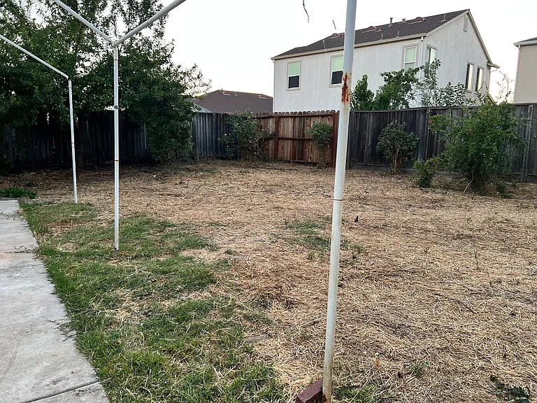 2061 Shady Forest Way — Photo 5