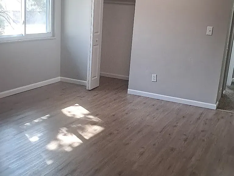 Hough Woods — Photo 11