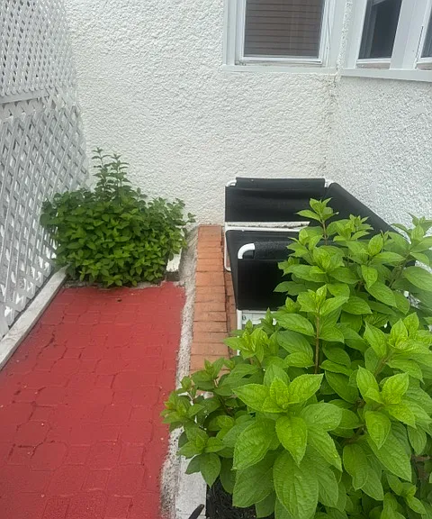 2717 Girard Ave S #201 — Photo 59