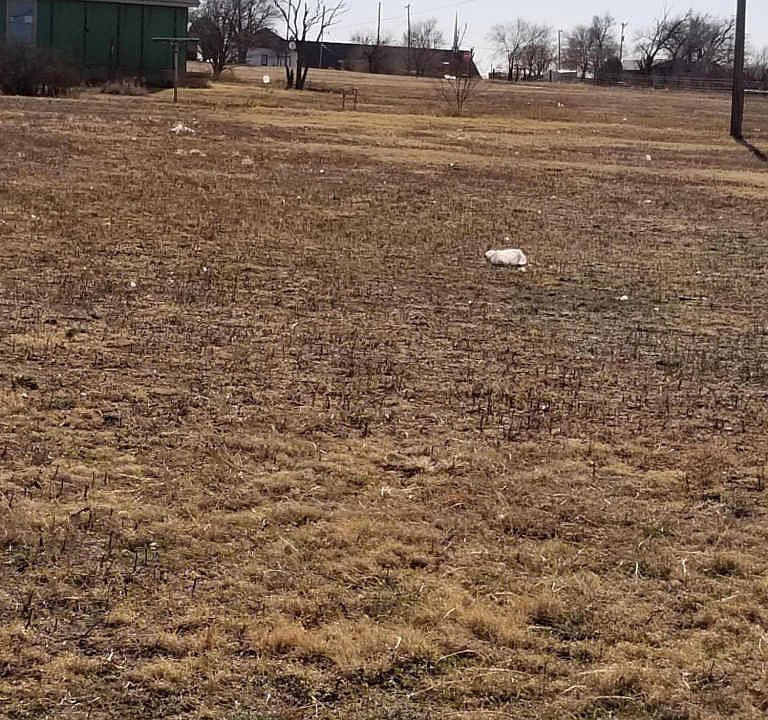 1st image of 2025 NW 17th Ave