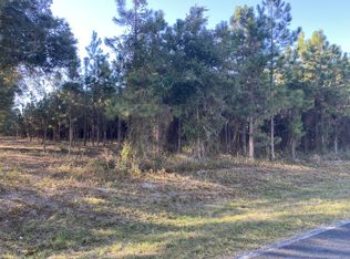 4941 NW County Road 251, Mayo, FL 32066