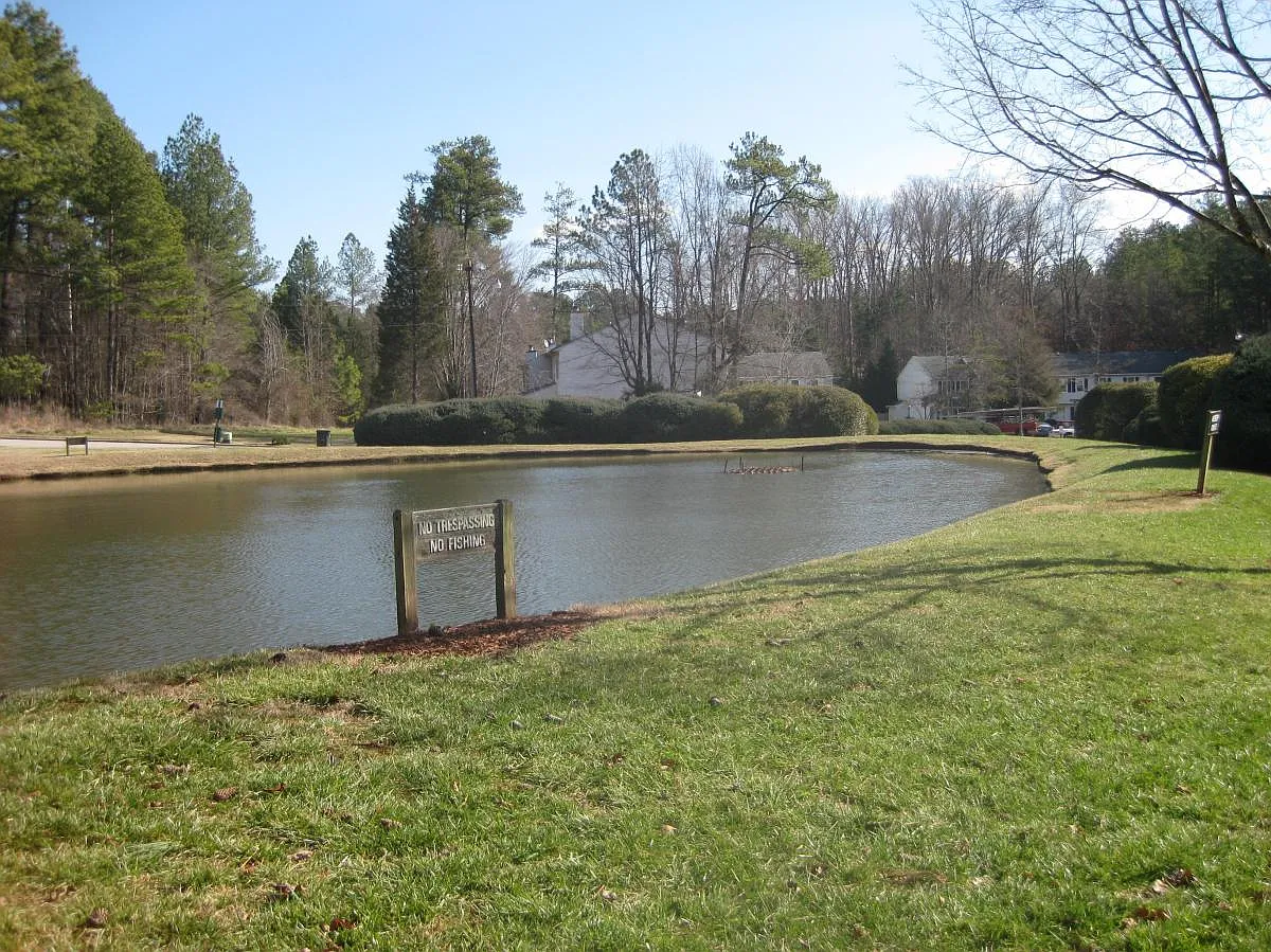 2 bed, 1.5 bath, 1250 sqft, $1,300 — Photo 2