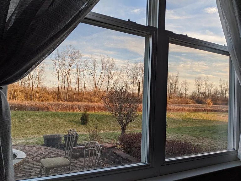 View from sofa backing directly into a protected green zone natural reserve