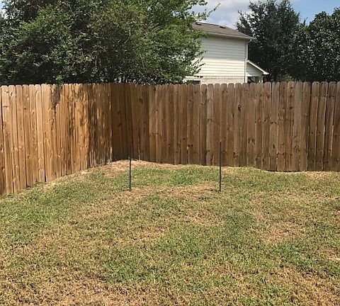Backyard3