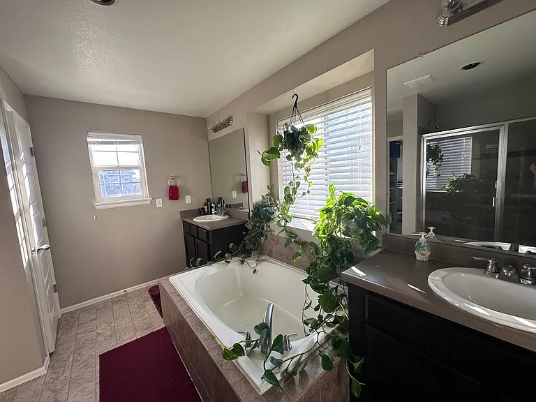 Master Bath 1