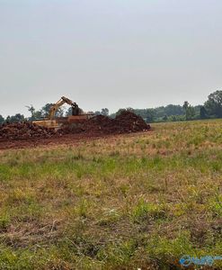 TRACT 54 Hays Mill Rd, Elkmont, AL, 35620