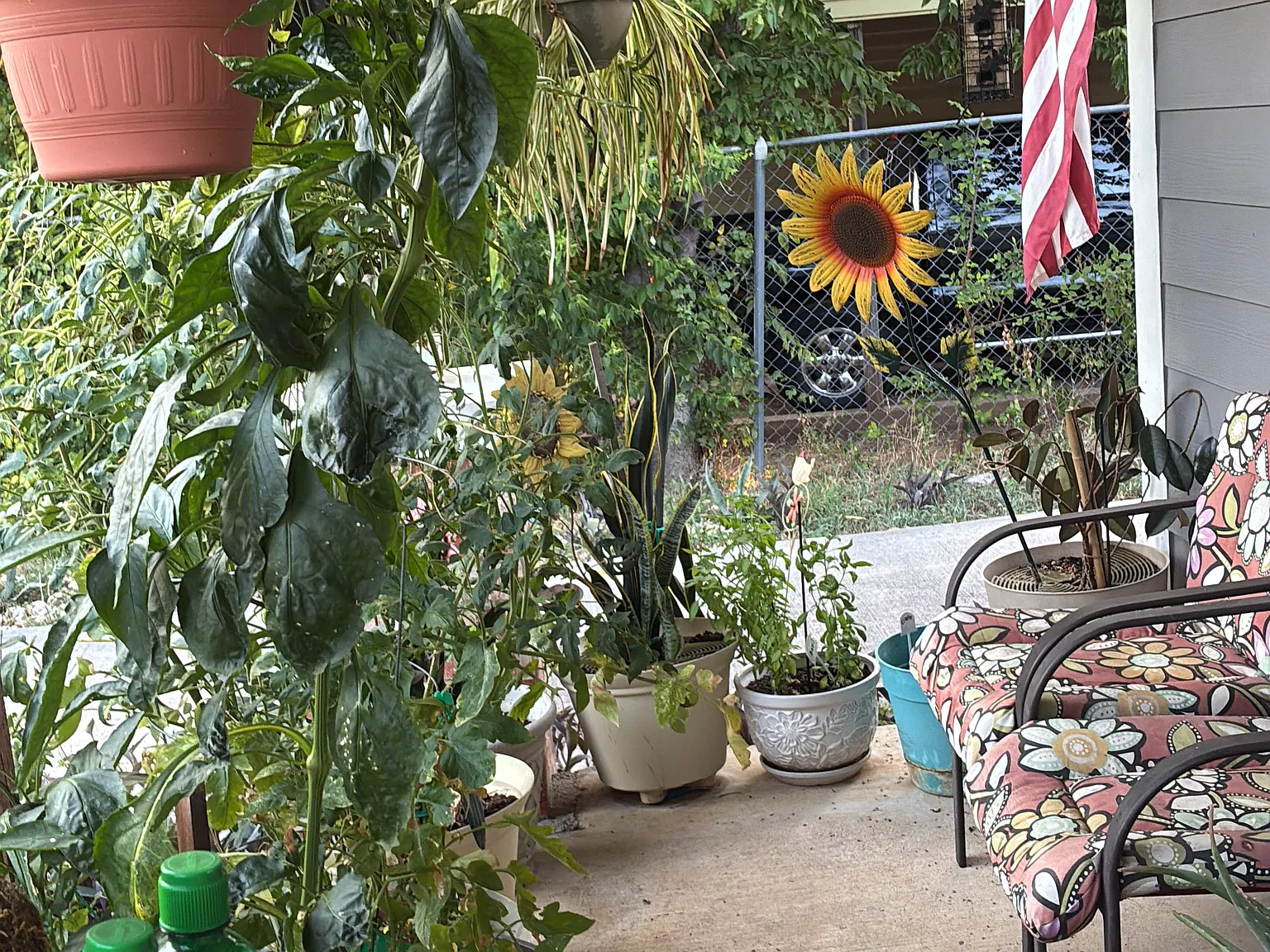 3 bed, $750 — Photo 2