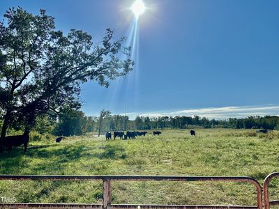 1 Jones Rd #1, Hurdle Mills, NC, 27541