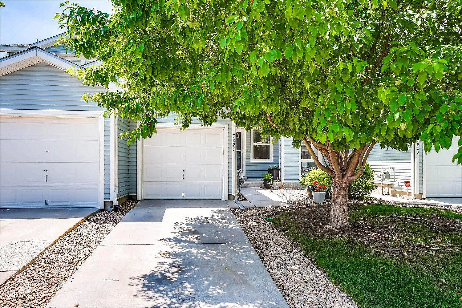 3 bed, 1.5 bath, 1240 sqft, $2,850 — Photo 2