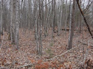 LOT 31 Gap Bridge Rd, Moneta, VA 24121