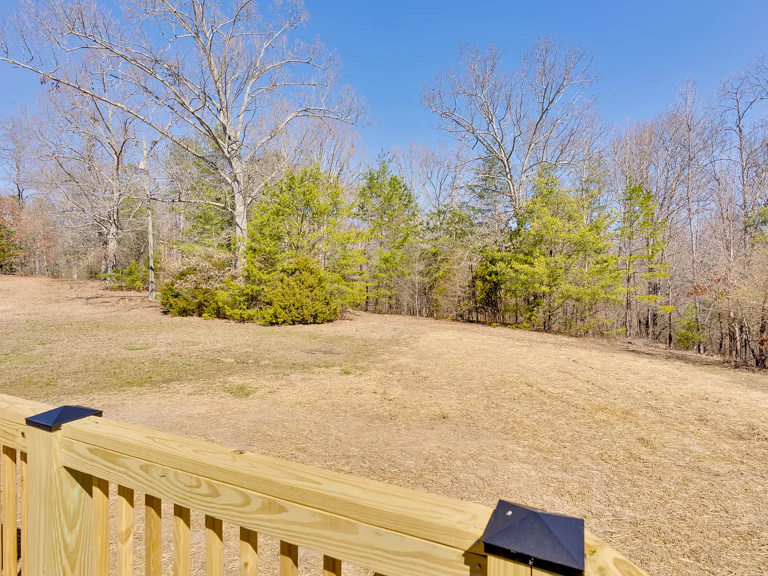 3 bed, 1400 sqft, $2,100 — Photo 3