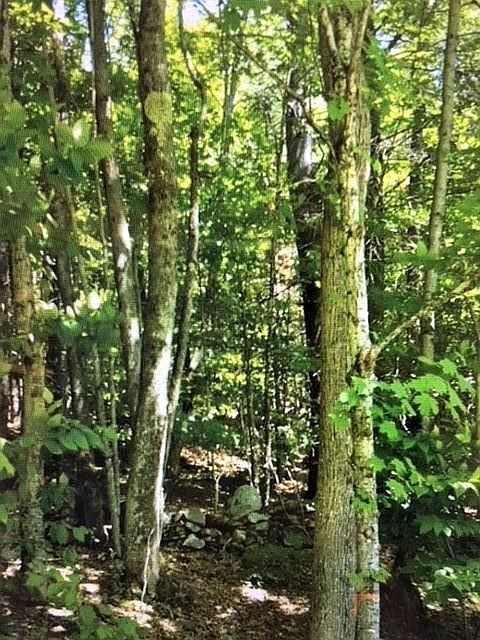 2nd image of 0 Cumner Road