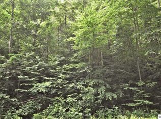 650 Glades Rd, Gatlinburg, TN 37738