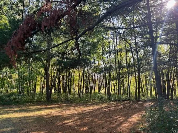 4938 121st St N, Saint Paul, MN 55110