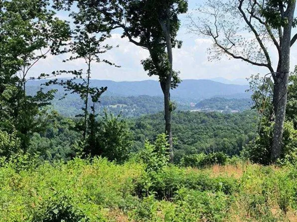 Ashe Cabin Hollow Rd, Harriman, TN 37748