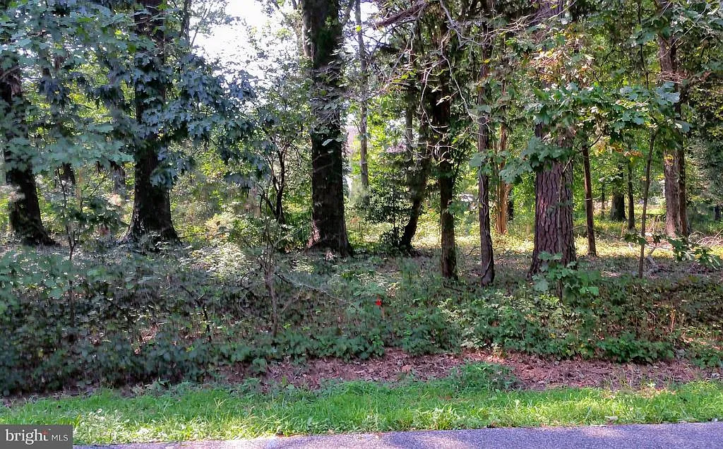 14515 Honeysuckle Way photo 1