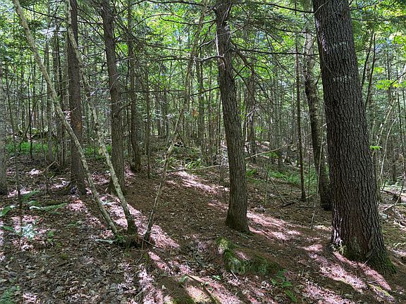 4th image of Lot 4 Holley Road