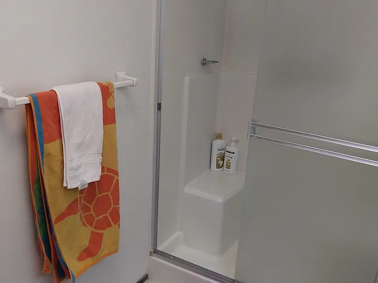 In the primary bath, the shower has a built-in seat.