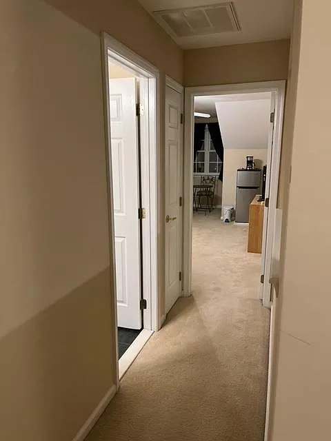 bath/living room hall