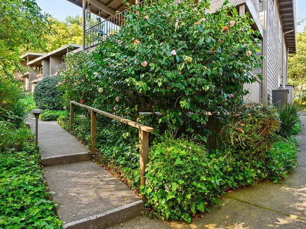 1411 Casa Buena Drive #31, Corte Madera, CA 94925