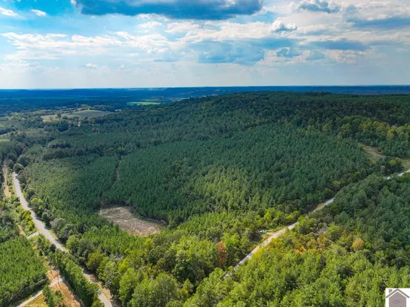 0 State Route 1433, Salem, KY 42078