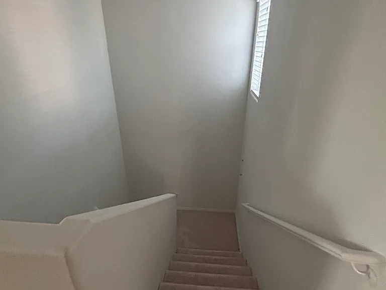 3185 Mist Effect Ave — Photo 11