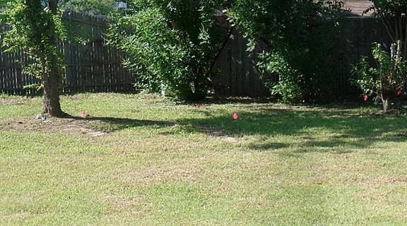 2nd image of 5537 Edendale Dr