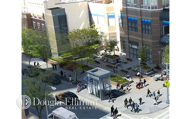 Sold by Douglas Elliman | media 7