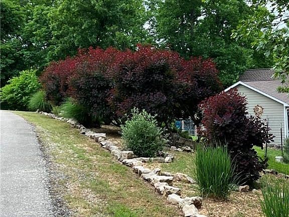 Summertime Curb Appeal with colorful Landscaping